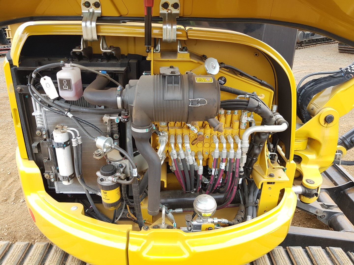 ZM008984_07.jpg